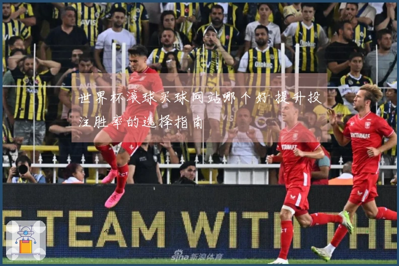 世界杯滚球买球网站哪个好 提升投注胜率的选择指南