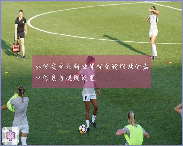 如何安全判断世界杯竞猜网站的盘口信息与规则设置